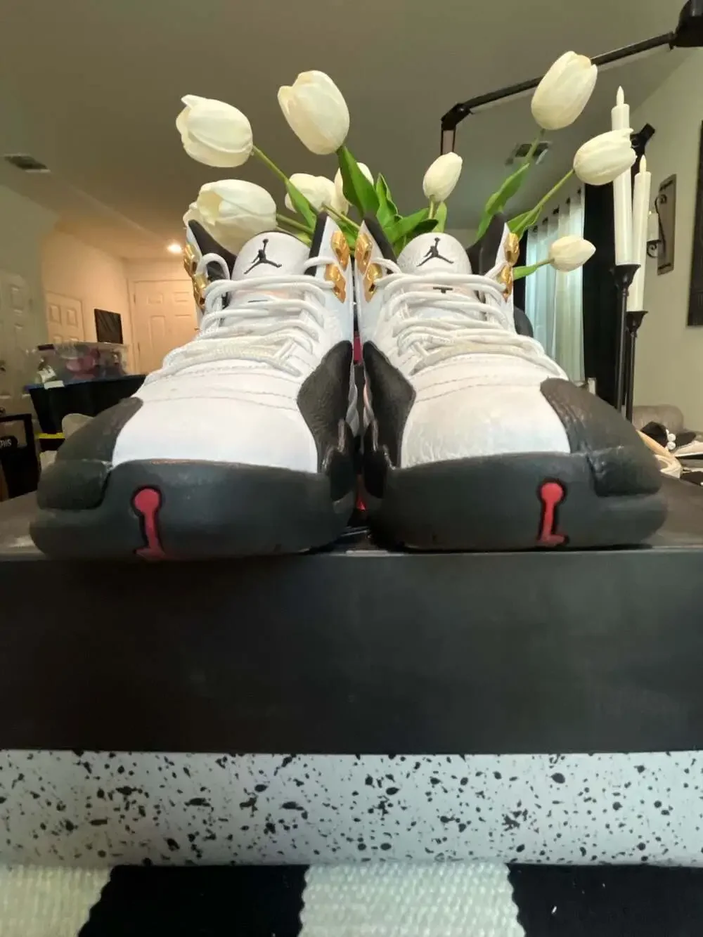 Jordan air 12
